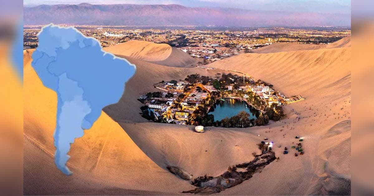 El milagro liberal de Ica: cómo el libre mercado transformó el desierto en potencia agrícola